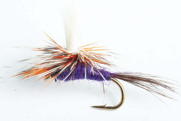 Adams Parachute Fly - Natural and Purple, 6-Pack – Blue Wing Olive