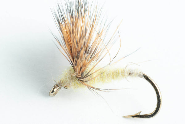 Sulfur Comparadun Dry Fly 6 Pack Blue Wing Olive