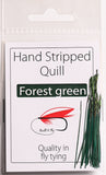 Polish Stripped Peacock Quills forest green