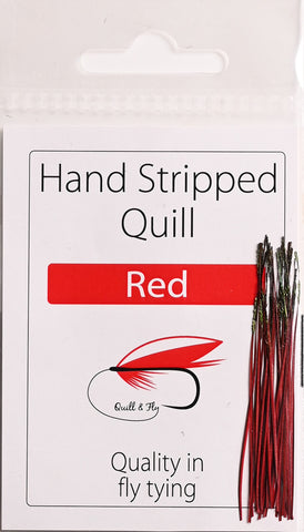 Polish Stripped Peacock Quills red