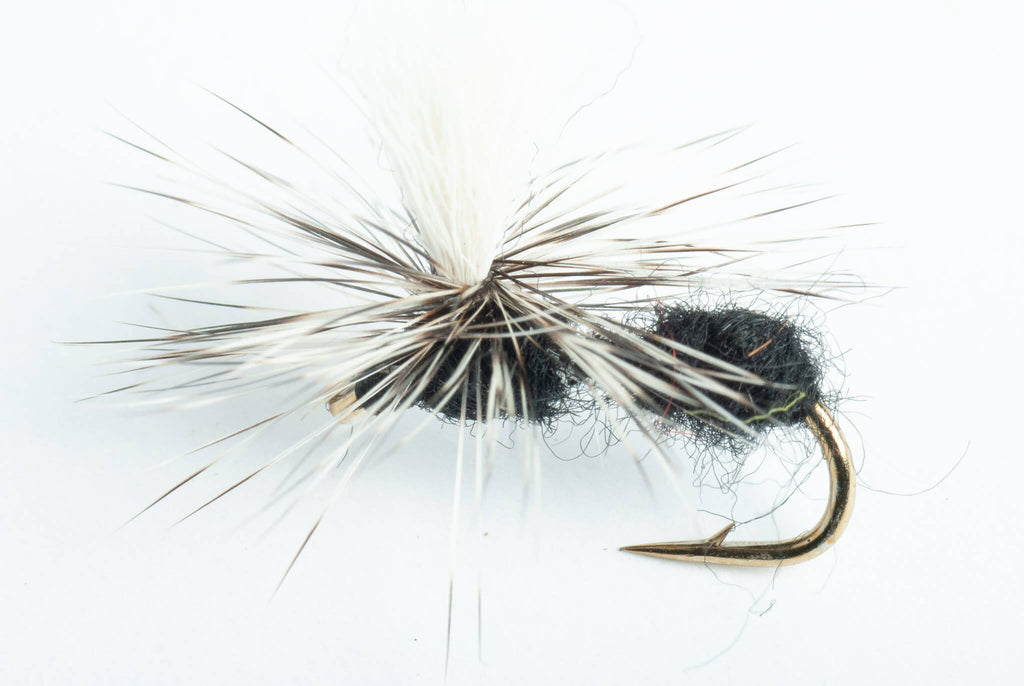 Parachute Ant Dry Fly, 6-Pack – Blue Wing Olive